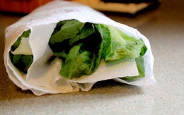 Clip: Bọc rau diếp bằng giấy ăn rồi để vào tủ lạnh, cách hay để giữ rau tươi lâu