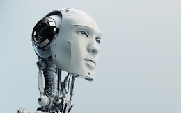 Nếu AI là tương lai của nhân loại thì con người sẽ làm gì và ở đâu?