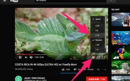 Ngày nào cũng xem YouTube mà chưa biết những mẹo này thì đừng hỏi tại sao lại tiếc