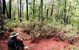 Kỳ 1: Lần tìm đường dây ‘cò’ đất mộ trong rừng đặc dụng