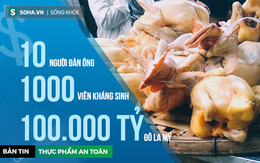 Gà Tàu "trọc lốc", 10 người đàn ông, 1000 viên thuốc và 100.000 tỷ đô la