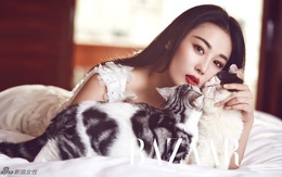 Trương Hinh Dư: Từ hot girl nóng bỏng cho tới ngôi sao bị ghét nhất showbiz