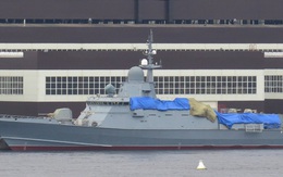 Tàu tên lửa "mạnh hơn hẳn Molniya" lộ thay đổi lớn: Sẽ ngang cơ siêu hạm Sa'ar 5 Israel?