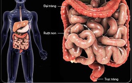 Một ngày không làm việc này bằng hút 3 bao thuốc lá, 90% bệnh tật đều từ đây mà ra