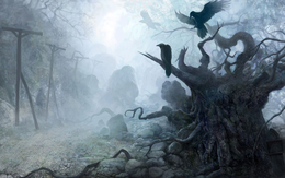 Bí ẩn loài cây "thần chết" biến mình thành nghĩa địa của loài chim
