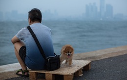 Hong Kong ngày nay: Ganh đua khốc liệt, giới trẻ "mất hứng" với việc kết hôn