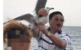 Du khách Trung Quốc hành hạ mòng biển chỉ để chụp ảnh gây phẫn nộ