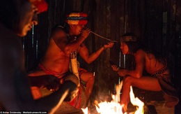 Hé lộ những bí ẩn của nghề pháp sư trong rừng rậm Amazon