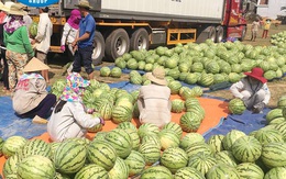 Đây là cách đại gia thép Hòa Phát giúp bà con nông dân Quảng Ngãi vượt qua khó khăn