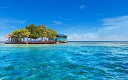 Hòn đảo Caribe có giá 600 USD/ngày cho khách tự làm Robinson Crusoe