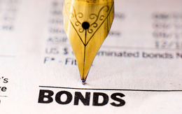 Ngân hàng nào vừa “ôm” 431 tỷ đồng trái phiếu của HAGL Agrico?