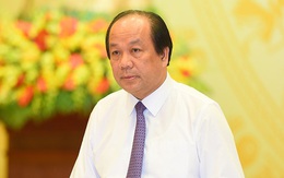 Bộ trưởng Mai Tiến Dũng: Theo luật, không thể cho Thứ trưởng Hồ Thị Kim Thoa thôi việc