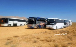 Kỳ lạ: Đoàn xe IS đầu hàng kẹt giữa sa mạc mà cả quân Nga, Mỹ lẫn Syria đều "bỏ qua"