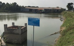 Hoang mang vì 'đại gia cá tra' mất tăm