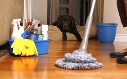 Vạch mặt 9 thủ phạm bào mòn sức khỏe cả gia đình: Có thể bạn không biết nên mới vô tư dùng