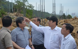 Đà Nẵng báo cáo gì với Thủ tướng sau khi rà soát quy hoạch bán đảo Sơn Trà?