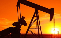 Giá dầu quý 3 phục hồi gần 20%