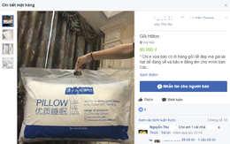 Gối Hilton loạn giá trên chợ mạng: Nơi 600.000 đồng, chỗ bán 80.000 đồng