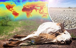 Chủ tịch IPCC: Vẫn có thể cứu vãn Trái Đất, nhân loại đang nỗ lực phi thường!