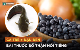 Bài thuốc bổ thận từ cá trê và đậu đen: Quý ông yếu thận không thể không ăn