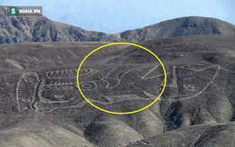 Phát hiện dị thường: Hình vẽ cá voi sát thủ dài 70m giữa sa mạc huyền bí ở Peru