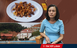 Đình chỉ phó phường, bêu tên chặt chém, thanh tra biệt phủ: Facebook đã "làm người tốt" như thế nào?