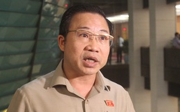 Đại biểu Quốc hội: "Bản thân Thứ trưởng Huỳnh Vĩnh Ái phải rút kinh nghiệm"