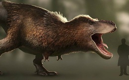 Sau 130 năm, phả hệ khủng long có nguy cơ viết lại vì phát hiện này!