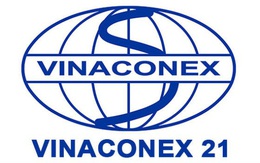 Tổng giám đốc Vinaconex 21 bị phạt 27,5 triệu đồng