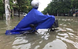 Nghệ An: Nhiều tuyến đường ngập tới 1m, người đi đường "bơi" trong nước