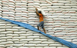 Bộ Công Thương khẳng định: "Xin giấy phép xuất khẩu gạo 20.000 USD là bịa đặt"