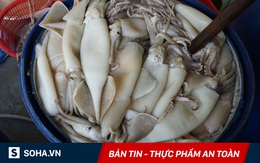 Chờ kiểm định thực phẩm bẩn, rau "tắm" thuốc trừ sâu, mực hóa chất đã vào bụng người dân!