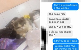 Không chịu được mèo của người yêu, chàng trai quyết định chia tay