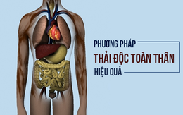 Chúng ta cần thải độc toàn bộ cơ thể bằng cách nào? Đây chính là giải pháp!