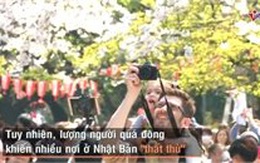 Nhật Bản "thất thủ" mùa hoa anh đào