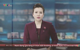 BTV Ngọc Diệp chia sẻ lý do quyết định nghỉ việc ở VTV