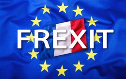 Đức và các nước châu Âu tuần hành rầm rộ phản đối Frexit (Pháp rời EU)