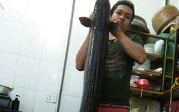Nghệ An: Dân bắt được cá lạ dài gần 1,7m, nặng 15kg