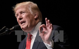 Tổng thống Mỹ Donald Trump hoãn thăm chính thức Anh