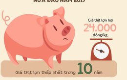 [Infographic] Nông sản đồng loạt kêu cứu nửa đầu năm 2017