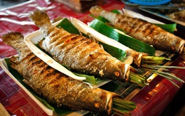 5 nhóm người nên đặc biệt cẩn thận khi ăn cá để không "phá" sức khỏe