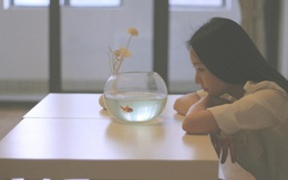 Nỗi lòng của cô gái lấy chồng xa: bố ruột đau vẫn phải chăm cho mẹ chồng trước