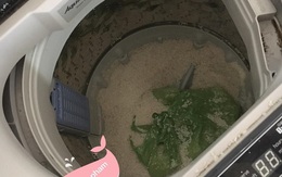 Chuyện bi hài trên MXH: Người phụ nữ cất 10kg gạo trong máy giặt rồi lỡ tay bấm nút...