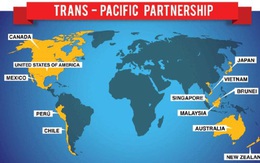Hy vọng tìm kiếm một thỏa thuận TPP 11 tại APEC 2017