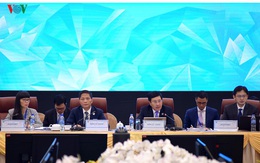 Toàn cảnh khai mạc Hội nghị liên Bộ trưởng Ngoại giao - Kinh tế APEC 29