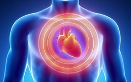 [Video] Sự khác biệt giữa đau tim, ngưng tim, đột quỵ: Biết rõ để xử lý rủi ro hiệu quả
