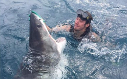 Sự thật đằng sau bức ảnh rùng rợn "Selfie cùng cá mập" khiến cư dân mạng dậy sóng