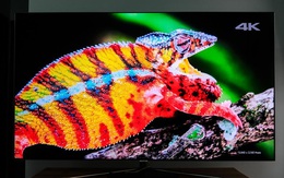 Nhìn vào những bằng chứng dưới đây, bạn sẽ thấy dù ở góc độ nào, TV QLED cũng thể hiện chính xác màu sắc phim