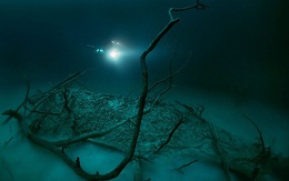 Vẻ đẹp kỳ bí của dòng sông ngầm đẹp nhất thế giới ở Mexico