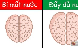 Hóa ra hoạt động thường ngày cũng khiến não bộ "phình ra xẹp nhỏ" lại như thế này!